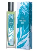 Brocard Day Dreams. Water Ivy EdT
